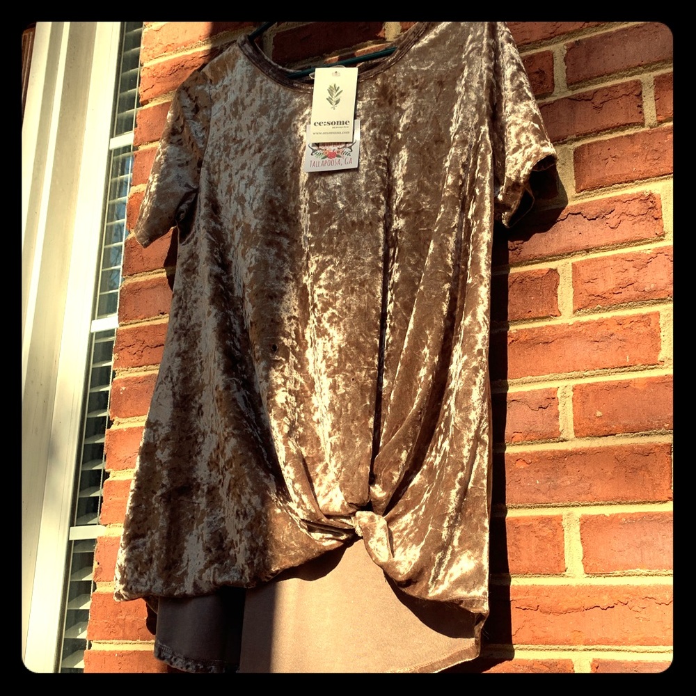 Velvet rose gold top